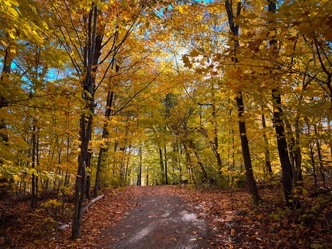 Autumn Colors